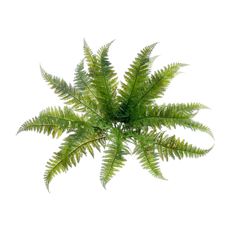 The Seasonal Aisle 50cm Faux Fern Plant Wayfair.co.uk